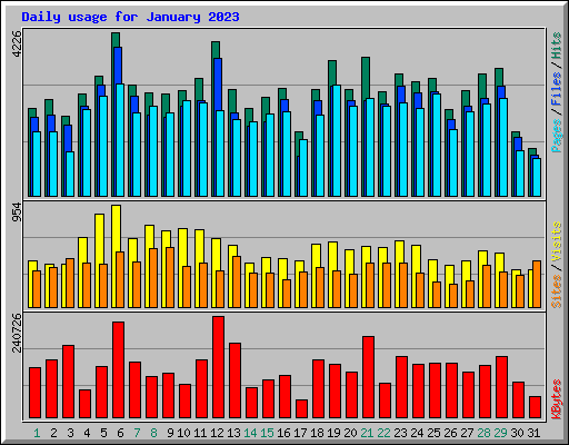 Daily usage for January 2023