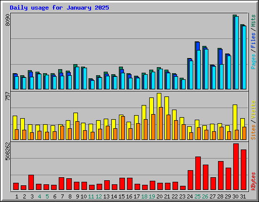 Daily usage for January 2025