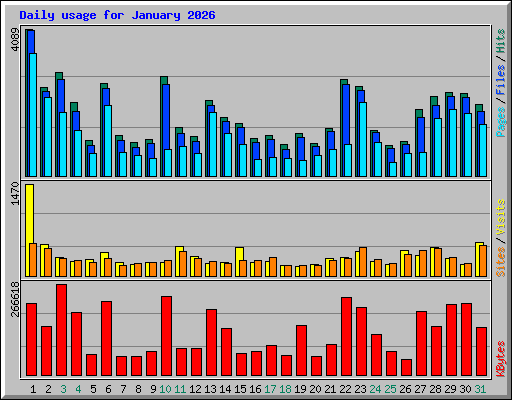 Daily usage for January 2026