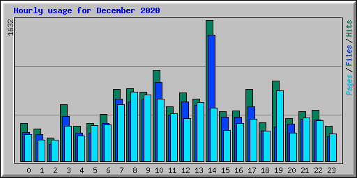 Hourly usage for December 2020