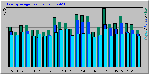 Hourly usage for January 2023