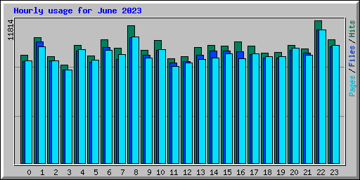 Hourly usage for June 2023