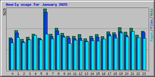 Hourly usage for January 2025