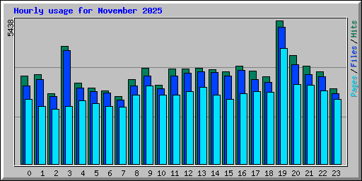 Hourly usage for November 2025