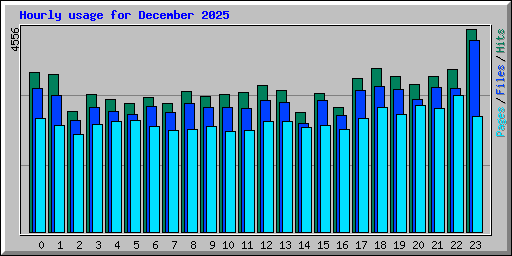 Hourly usage for December 2025