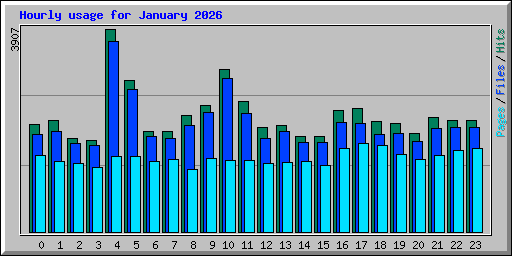 Hourly usage for January 2026