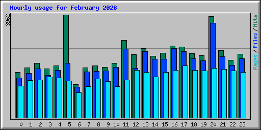 Hourly usage for February 2026