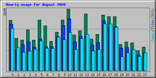 Hourly usage for August 2026